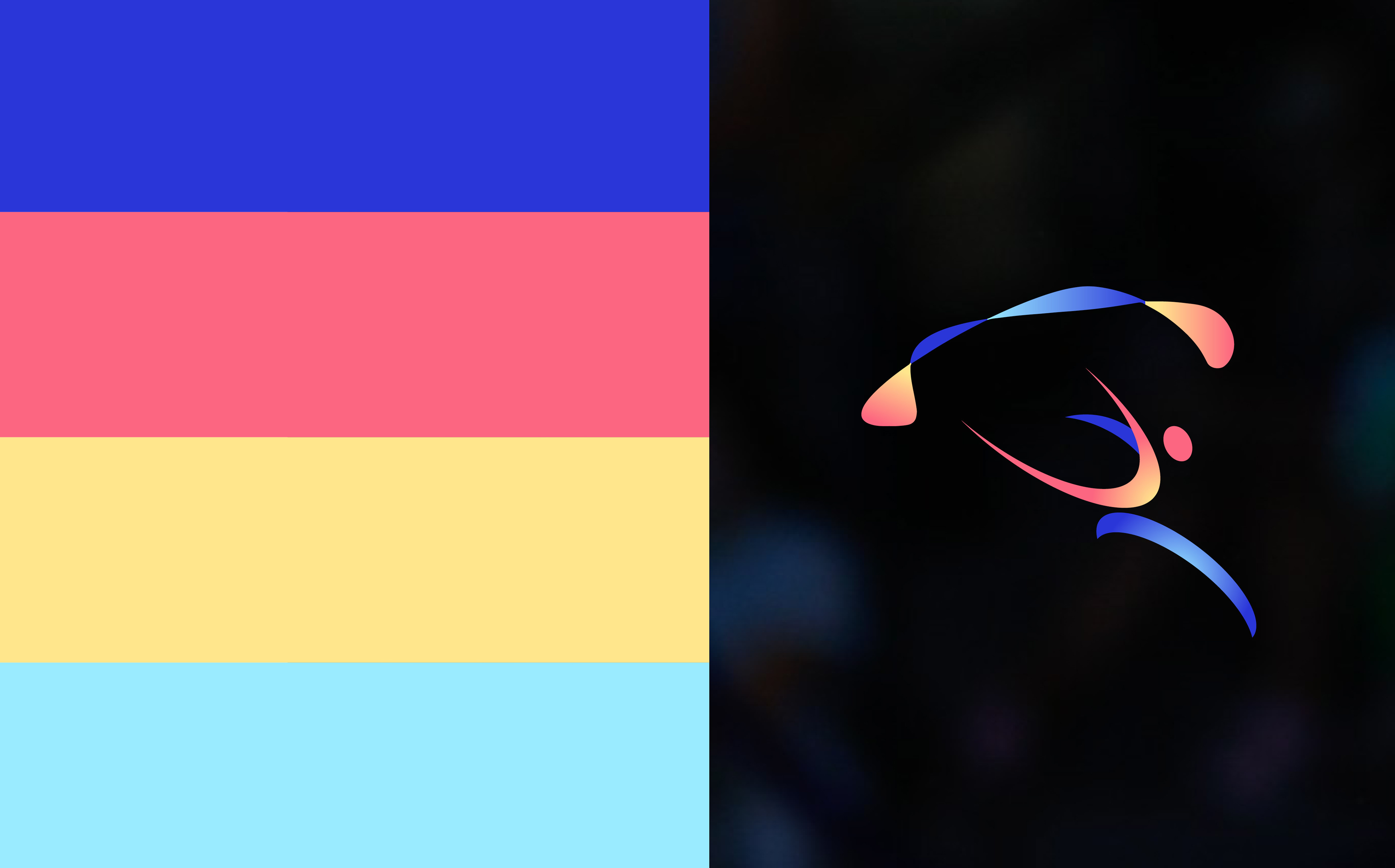 Rhythmic Gymnastics European Championship project detail 2-1