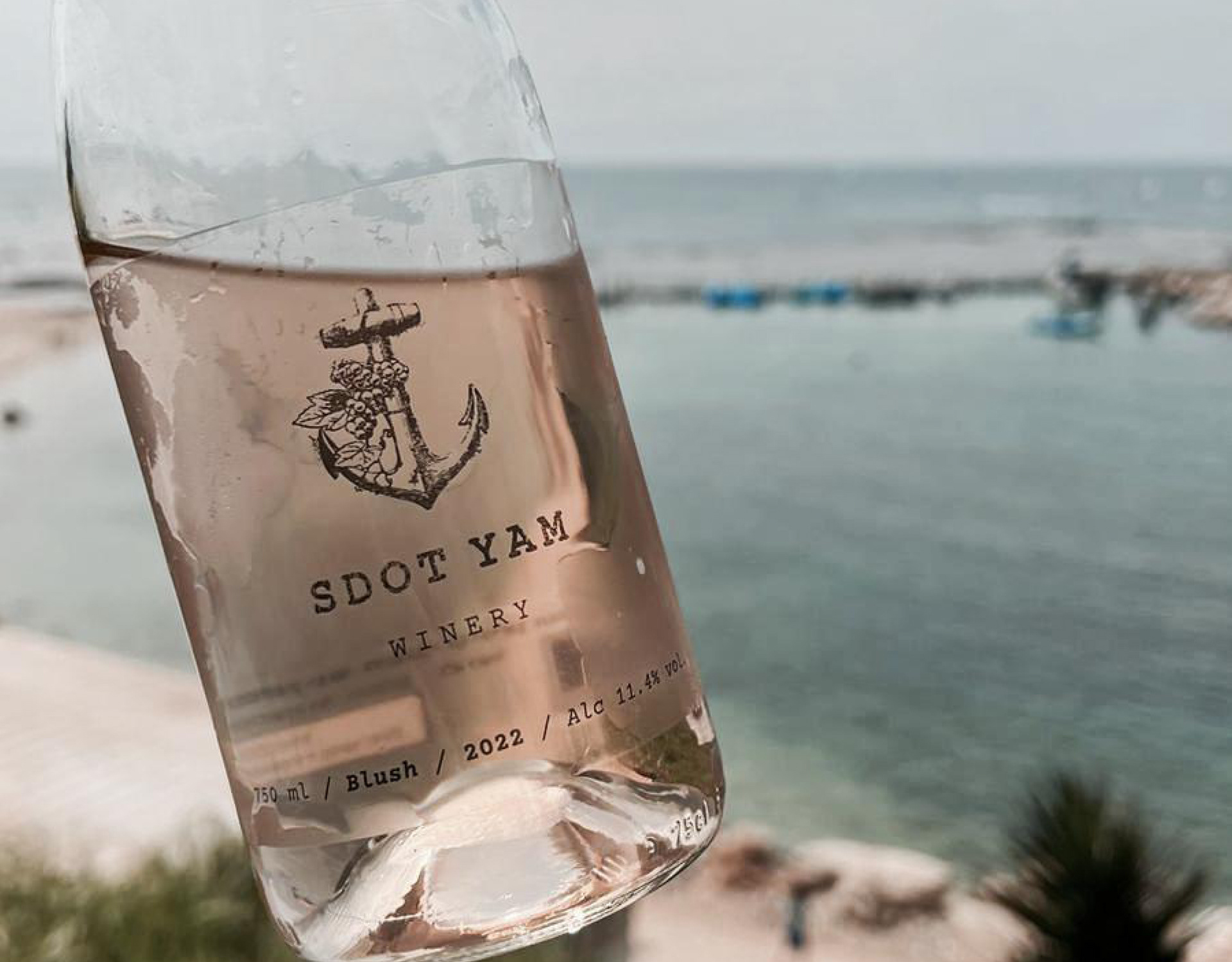 SDOT YAM Winery
